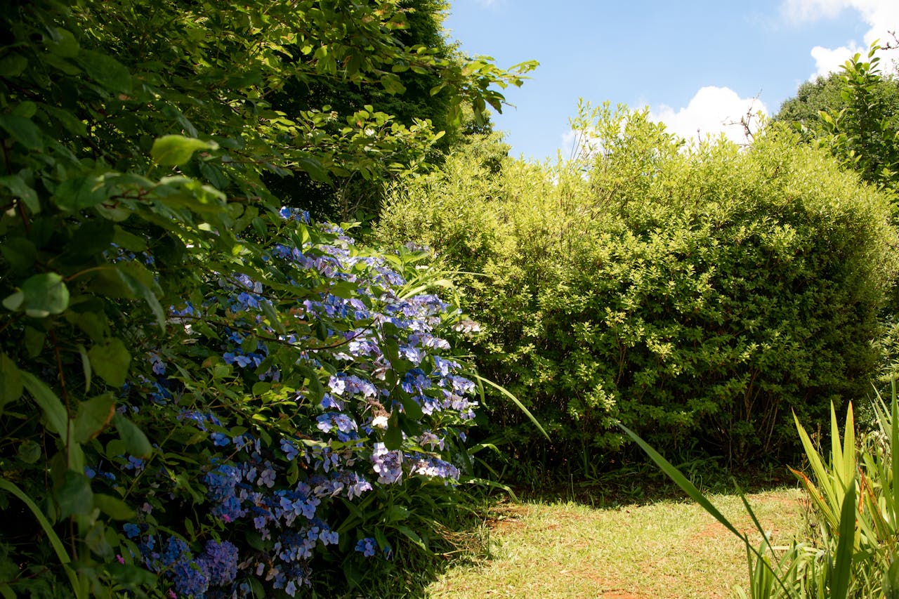 De beste tuininrichting voor kleine ruimtes